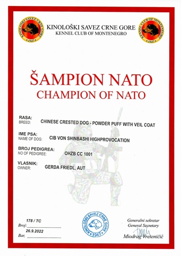 26. Sep. 2022 - Champion Nato