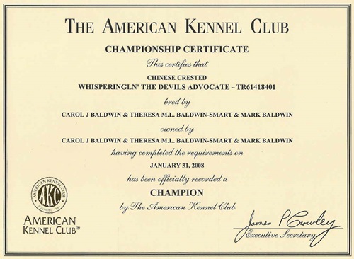 31. Jan. 2008 Champion USA