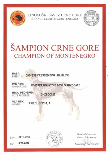 28. Apr. 2012 Champion Montenegro