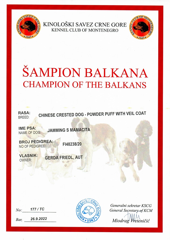 Champion Balkan