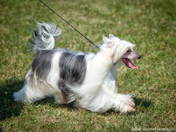 Mamacita Aug. 17, 2025 Bratislava Mamacita Aug. 17, 2025 Bratislava