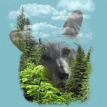 Maverick in memory Maverick in memory