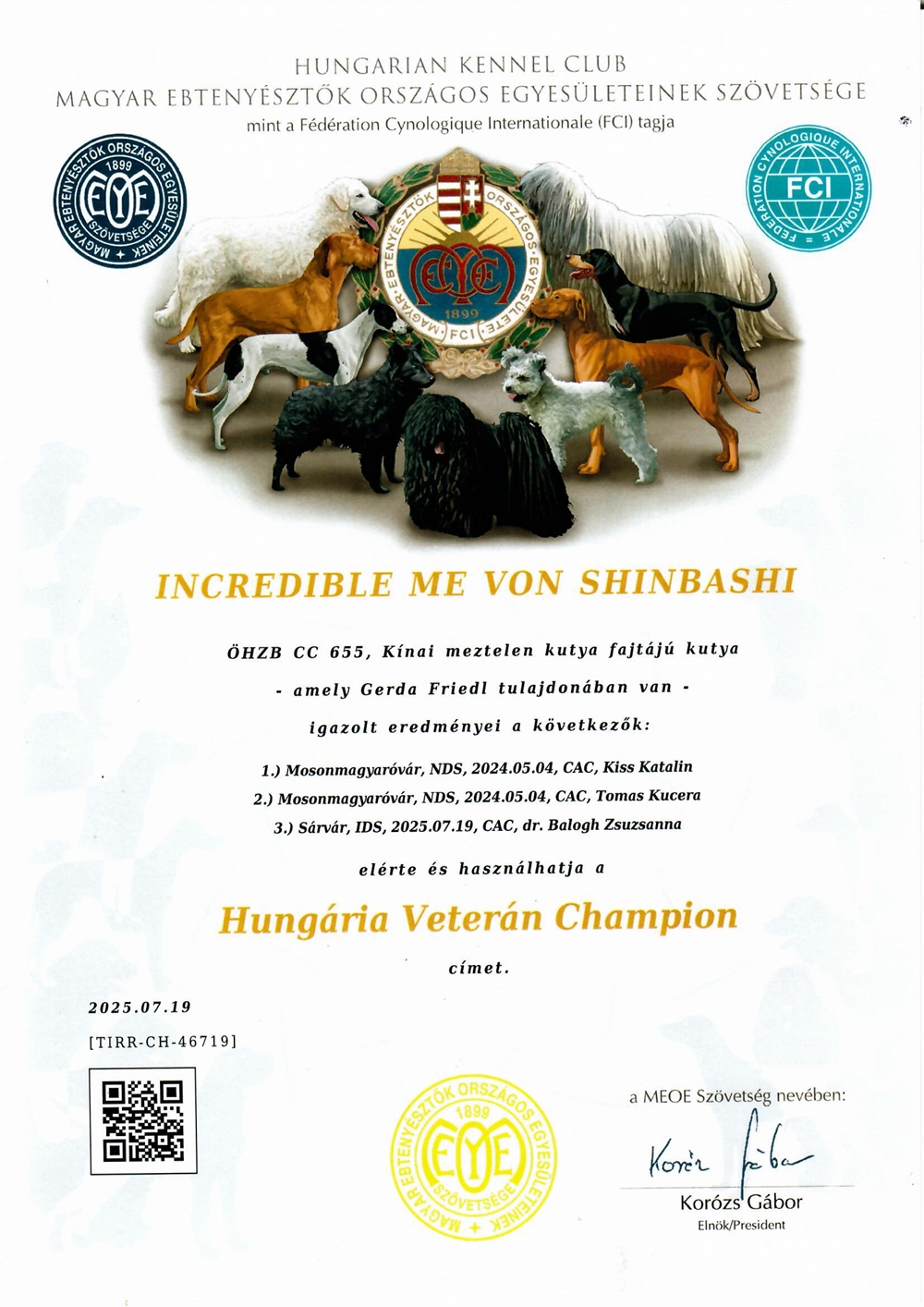 Memy HU veteran champion Memy HU veteran champion