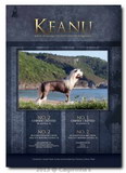 Keanu advertisement BIS Magazine Spring 2013
