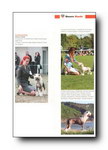 December 2012 issue "Our Dogs"