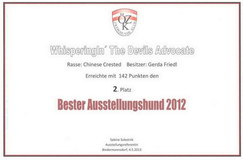 2. Platz Bester Ausstellungshund Zwerghunde Österreich 2012 und Nr. 2 Chinese Crested Österreich 2012