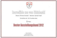 Bester Ausstellungshund Zwerghunde Österreich 2012 und Nr. 1 Chinese Crested Österreich 2012