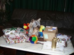 Gizmo192