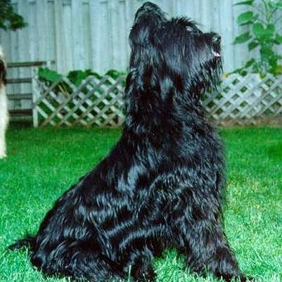 Chloe060800 1