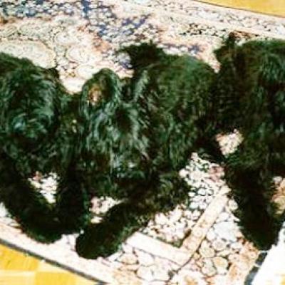 015c Esprit Clochard Xenia01