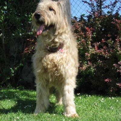 Alysha 20080720