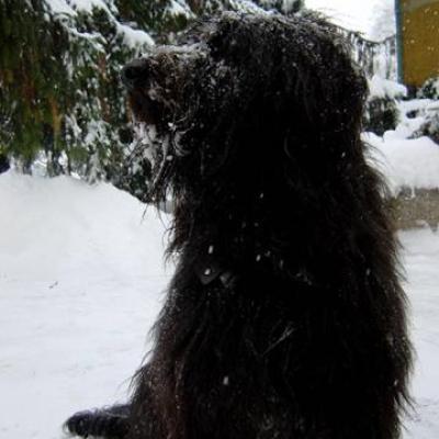 Gus050104 07
