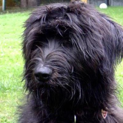 Gus10 2002 08