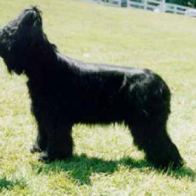 Cou090700 1