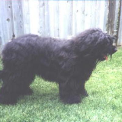 Echo020600 1