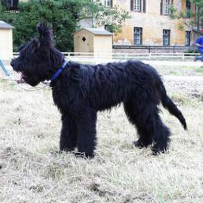 Falco020601 005
