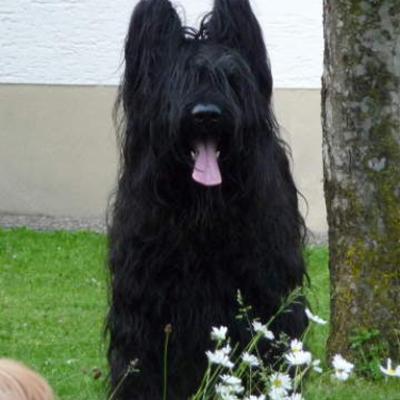 Fleury 2010 06 08