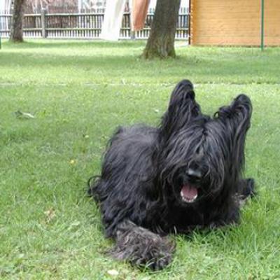 Fleury260703 02
