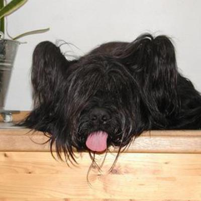 Ferri060803 02