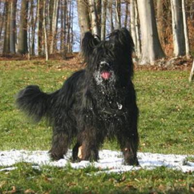 Ferri090104 01