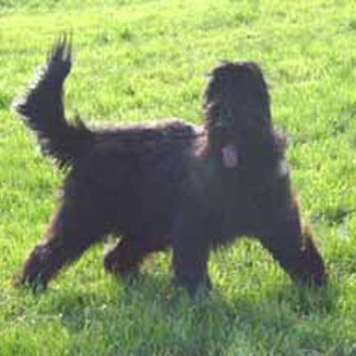 Ferri091201 04