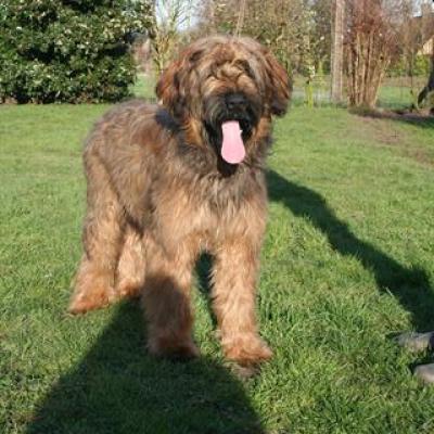 Chica 20070215 19