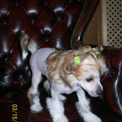 02 Latoya 20090315 09