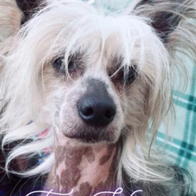 20190604 Leeroy