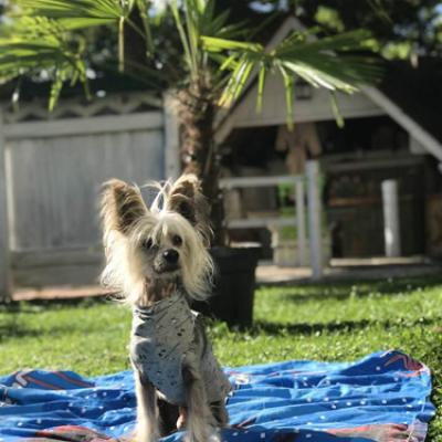 20200825 Leeroy
