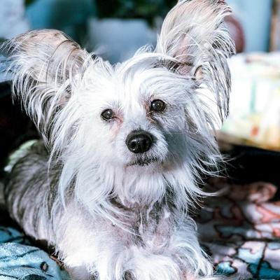 20210110 01 Leeroy