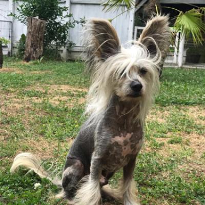 20210925 Leeroy02