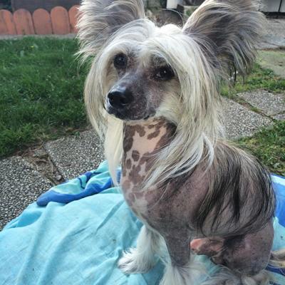 64 20160412 Leeroy