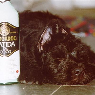 Batida120