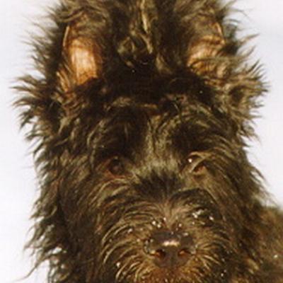 Batida133