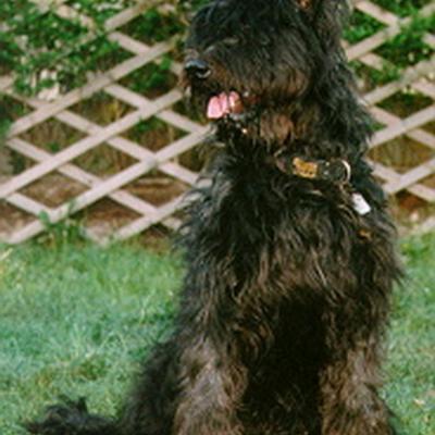 Batida141