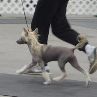 Tanner 20111023 06