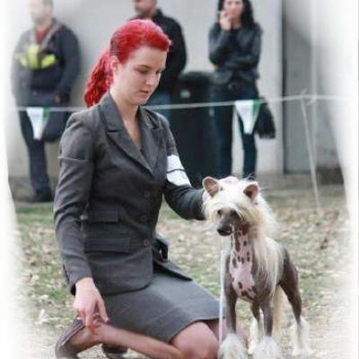007 Cacib Pleven 27 28 Oct 2012 Cacib