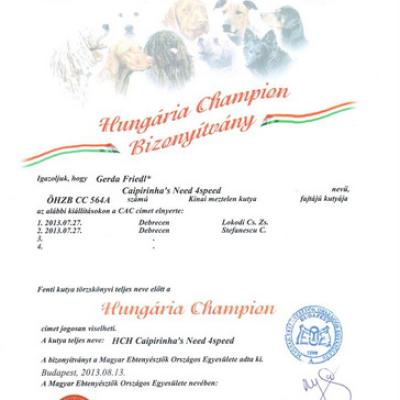019 Champion Hu 13 Aug 2013