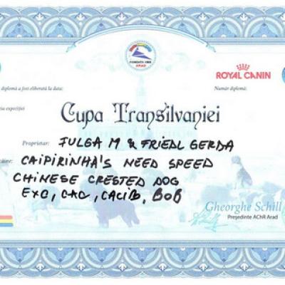 021 Transsilvania Winner 28 Sep 2013