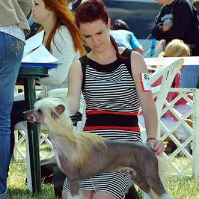 028 Cacib Velece Cac Res Cacib 21 June 2015