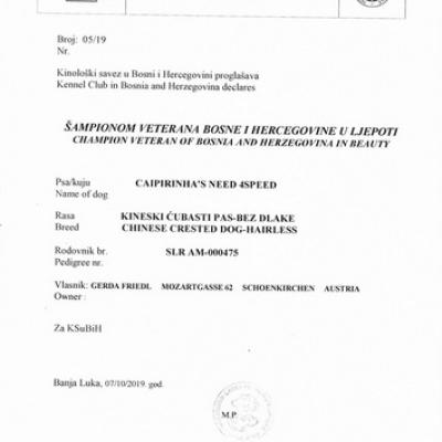 Bih Cert Vetchamp Maverick