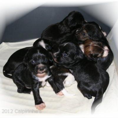 01 1 Maerz 2012 1 March 2012