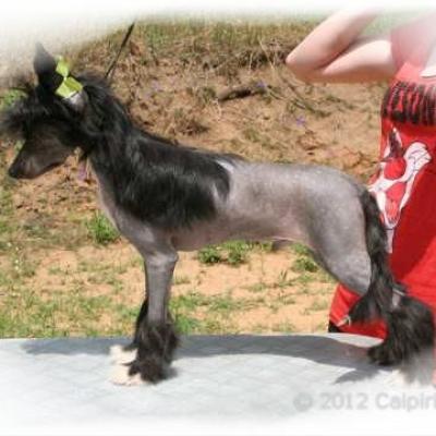 03 One Ofhis Own Aka Gatsby 15 Jun 2012