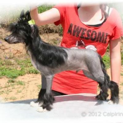 06 One Ofhis Own Aka Gatsby 15 Jun 2012