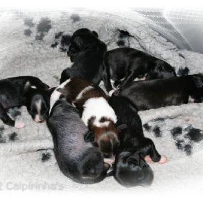 08 Woche 2 Week 2