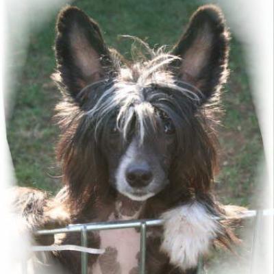 10 On Cloud No9 Aka Esprit 16 Sep 2012