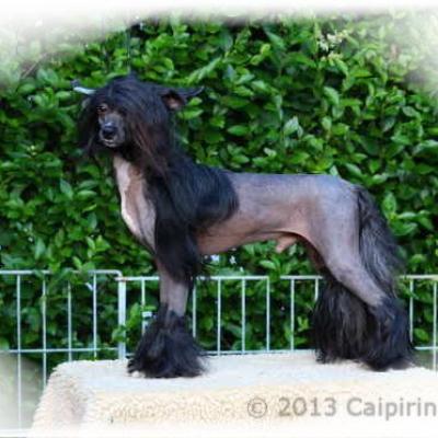 25 One Ofhis Own Aka Gatsby 3 July 2013