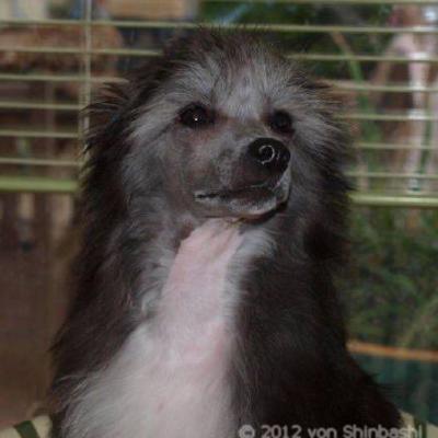 02 Sly 4 Jun 2012