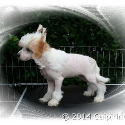 20 27 July 2014 Prada
