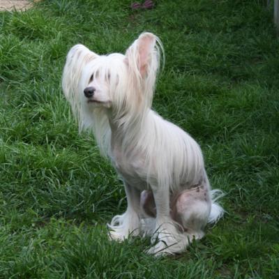 Porsche 20160508 13